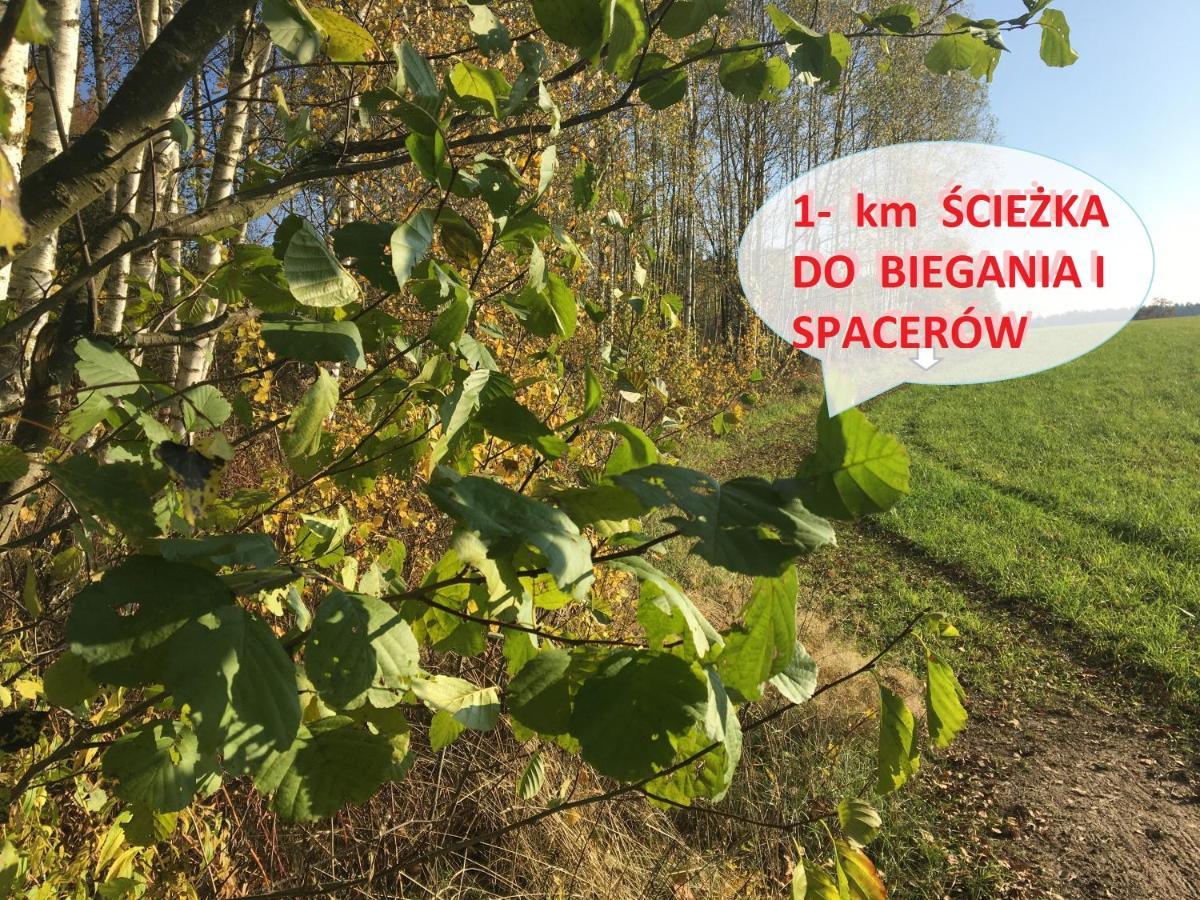 Na Zielonej Lace... *